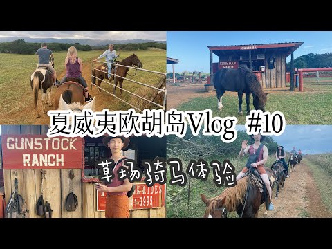 夏威夷欧胡岛旅游攻略 vlog #10 岛上排名第一的Gunstock Ranch Sunset Tour騎馬体验Oahu Hawaii travel see and must try