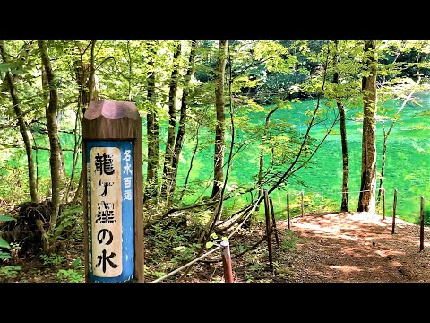 【名水百選】新潟県龍ヶ窪