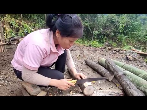 living in the forest, Building a farm, daily life, building a bamboo house life, new life