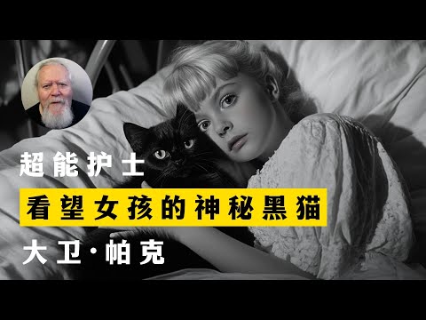 看望女孩的神秘黑猫 超能护士 大卫·帕克