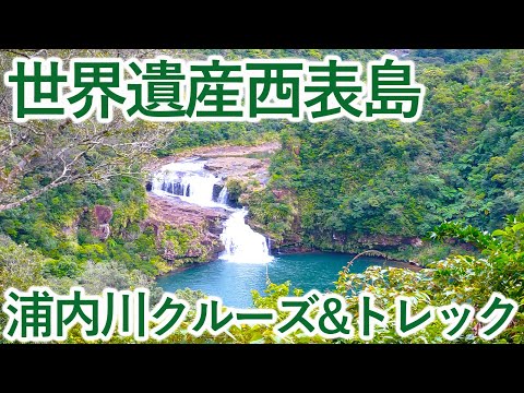 世界遺産西表島、マリユドゥとカンピレーの滝まで行く浦内川クルーズとハイキング-Iriomote Island Urauchigawa cruise and trek-