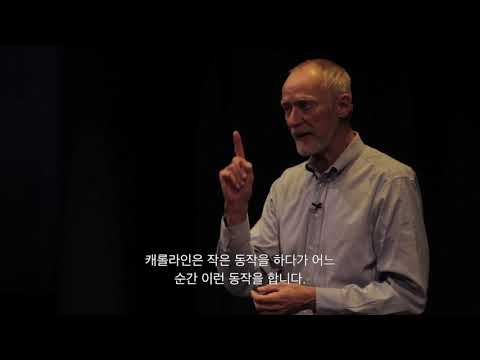 Ted Ehrhardt: 정신증을 위한 댄스테라피(DMT)