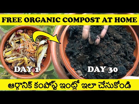 How to Make Organic Fertilizer (Compost) at Home from Kitchen Waste - Complete Details Here