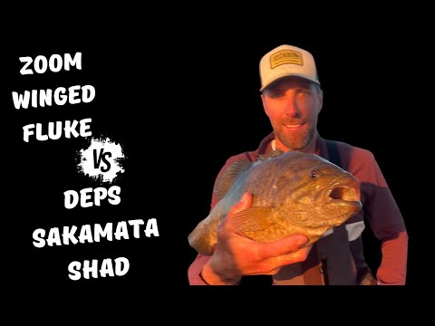 Shaking a Minnow, Which bait is best.  The Zoom Winged Fluke or Deps Sakamata Shad?