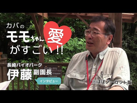 【長崎バイオパーク】伊藤副園長インタビュー（ほぼノーカット版）