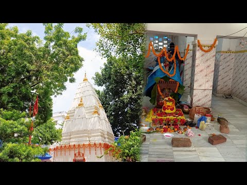 जंगलिया बाबा मंदिर में अखंड कीर्तन आरंभ ||famous temple