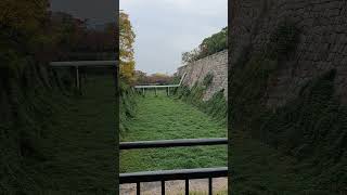 Calm View of Osaka Castle #osaka #osakajapan #osakatrip #osakacastle #shorts