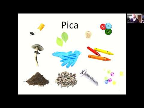 PICA and Autism