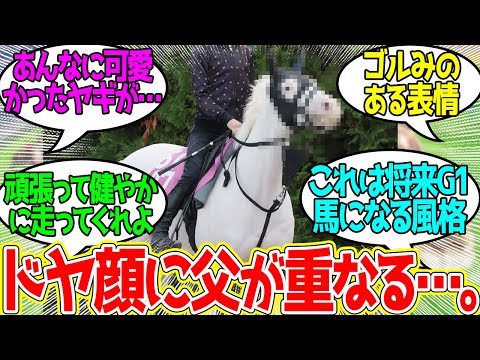 ゴージャス ← やっぱりお前アイツの娘なんだな…に対するみんなの反応！【競馬 の反応集】