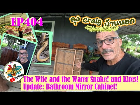 EP404 The Wife and the Water Snake! and Kites! Update: Bathroom Mirror Cabinet!