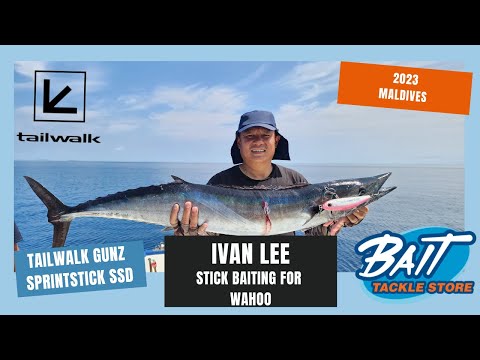 Ivan Stick baiting for Wahoo with the Tailwalk Sprint Stick SSD, Tailwalk Gunz 160F stick bait.