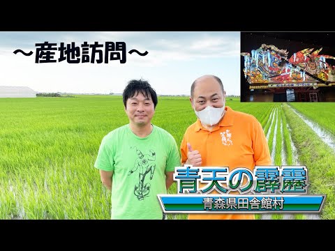 青森県田舎館村「青天の霹靂」産地訪問：田んぼアートが凄すぎた！あと風の音も。。。