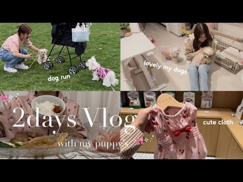 vlog | 愛犬と過ごす20代社会人の2日間のvlog.わんことショッピング🛒🛍️豊洲