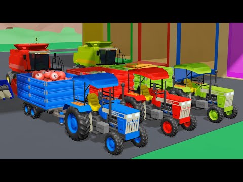 Rainbow Tractors, A Colorful Ride Through Fields and a Journey to Imagination and Bazylland Tractors