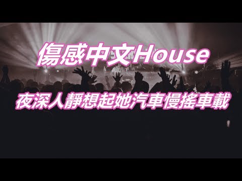 傷感中文House夜深人靜想起她汽車慢搖車載