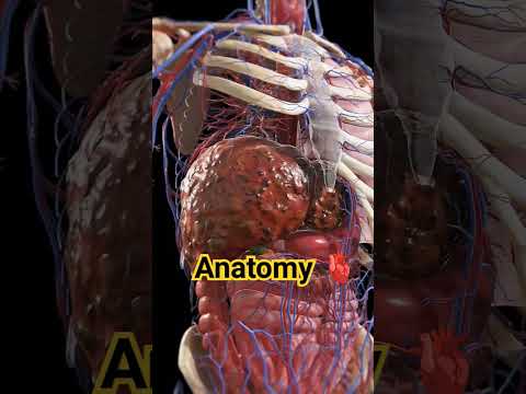 #pharmacist #pharmacy #neet #upsc #biology #anatomy #viral #hearttouching #shortsfeed #shorts #short