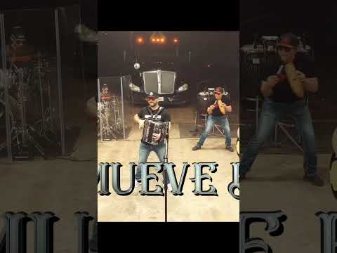 De Parranda - Lo mueve bien #deparranda #cumbia #huapangos #baile #bailando