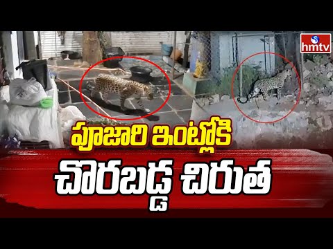 Srisailam: పూజారి ఇంట్లోకి చొరబడ్డ చిరుత | Cheetah Wandering in Srisailam District