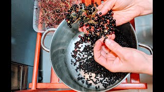 Elderberry syrup recipe