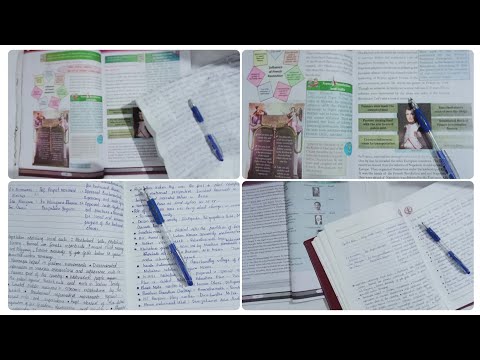 A Productive Study Vlog || Revision vlog ||Malayalam