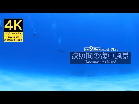 【4K 水中映像】波照間島の海中風景 / Underwater scenery / Haterumajima-island Okinawa