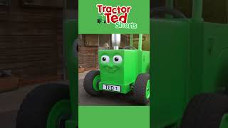 Midge & Merlin Race! | Tractor Ted Official Channel #shorts #tractorted #farmstories