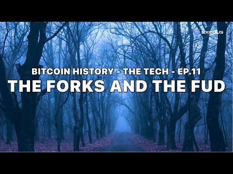 Bitcoin History s1e11: The Forks and the FUD