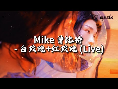 Mike 曾比特 - 白玫瑰+红玫瑰 (Live)『一撮玫瑰无疑心的丧礼，前事作废当爱已经流逝。』【动态歌词MV】