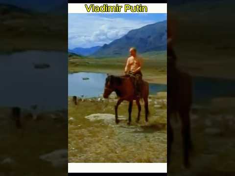 President Putin on Horseback #putin #horse #sigma #attitudestatus