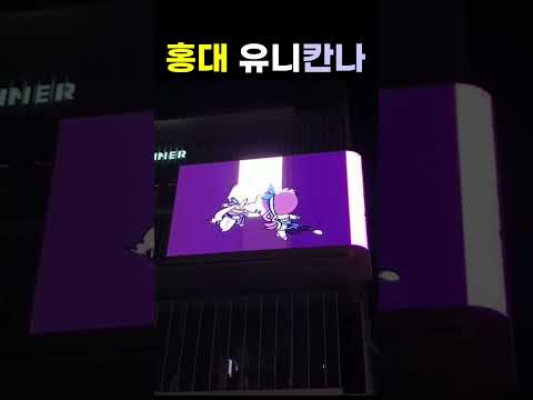 홍대 애플 유니 칸나