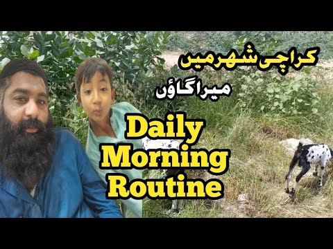 Daily Morning Routine || Kashif javeed || Small business tips💡