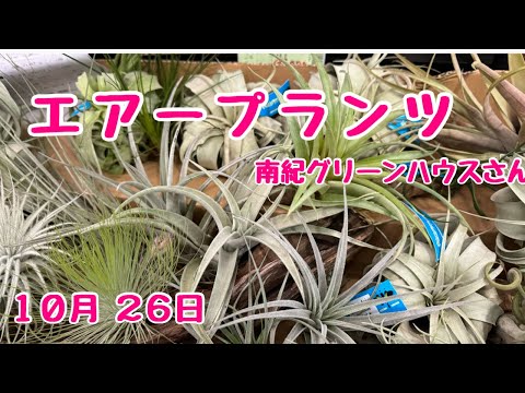 南紀グリーンハウスさんin豊明トレードフェア　2024年10月26日