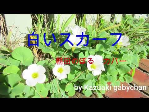 1976 白いスカーフ 朝田のぼる カバー "White Scarf" Noboru Asada, Covered by Kazuaki Gabychan