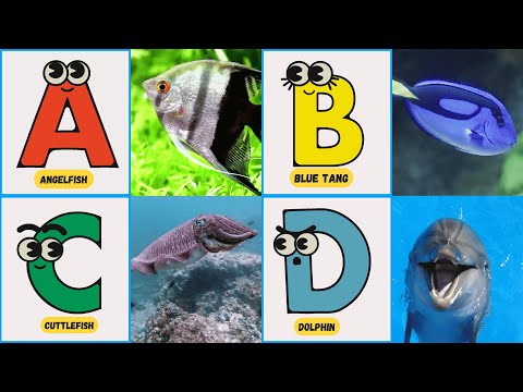 ABC Underwater Animals 🌊🐟 | Fun Learning Song for Kids | UZR Learning | #abcd #kids