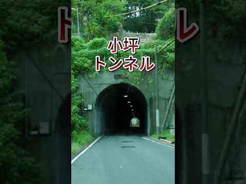 絶対に行ってはいけない神奈川県最強心霊スポットトップテン||心霊スポットランキング||チャンネル登録お願いします　＃都市伝説　 #日本　 #怖い話　 #怖すぎる　＃神奈川県　＃神奈川県心霊スポット