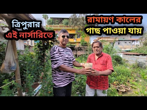 চলুন ঘুরে আসি ত্রিপুরার সেই নার্সারি থেকে যেখানে রামায়ণ কালের গাছ পাওয়া যায়।💚