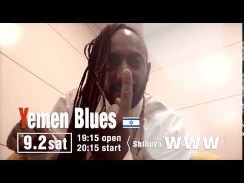 yemen blues 1week