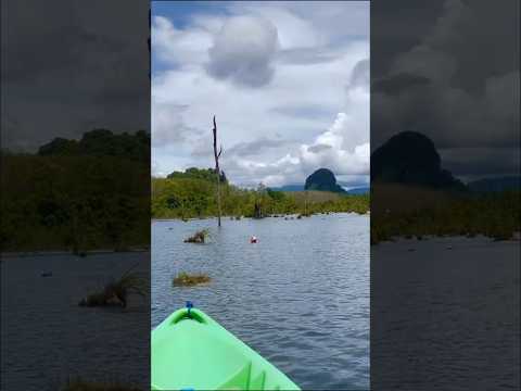 #พายเรือคายัค #คลองหรูด จังหวัด #กระบี่ #กระบี่ไม่ได้อยู่ที่ใจแต่อยู่ถัดไปจากพังงา #krabi #thailand