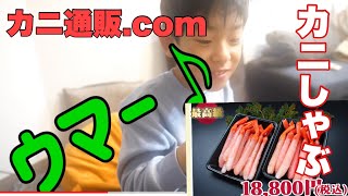 【カニ通販.com】超絶美味い！ズワイガニのカニしゃぶを食べました！