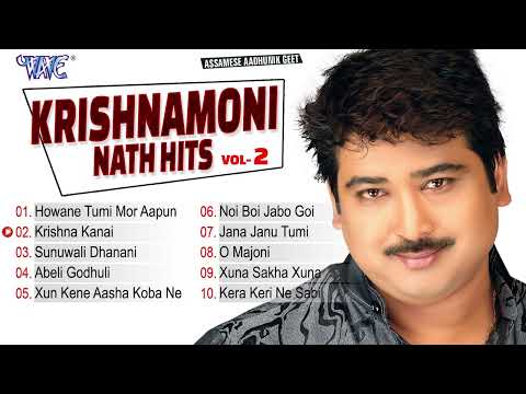 Krishnamoni Nath Hits - Vol.2 | Nonstop Collection Top 10 Songs | Assamese Hit Aadhunik Geet