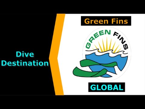 Reef World & Green Fins, Dive Charity Spotlight for Scuba.Digital The #1 Online Dive Show