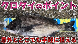 【クロダイ（チヌ）】黒鯛の生態と釣れるポイントを徹底解説