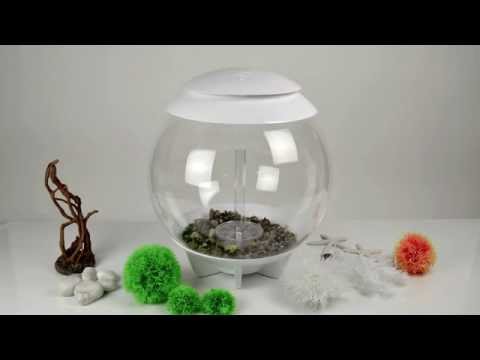 biOrb HALO 30W aquarium set up demonstration