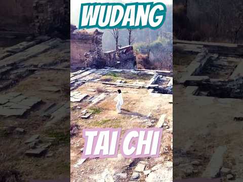 Wudang Tai Chi on Wudang Mountain #wudang #wudangmountain #taichi #china