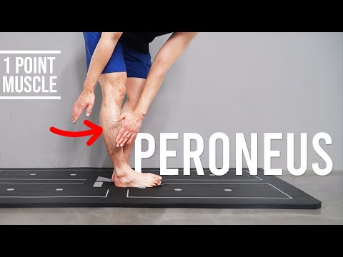 Leg / Ankle Imbalance? MUST DO｜Peroneus