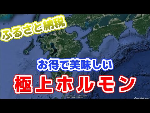 【ふるさと納税返礼品】極上ホルモン