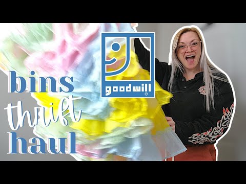 Returning to the Bins! | $30 Goodwill outlet thrift haul | What will Audrey get today? 🐶