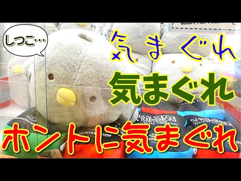 【散財？】欲しいものだけ狙ってみた結果…！？【UFOキャッチャー】【クレーンゲーム】【気まぐれチャレンジ】【鬼畜台】(Japanese claw machine)