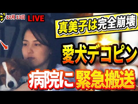 🔴🔴【LIVE12月13日】真美子が大谷より愛するデコピンが病院に緊急搬送!『元女子バスケ選手』が精神崩壊した現在に驚きを隠せない!DG、主力選手2人を相次いでヤンキースに失う ! 大谷とベッツ驚愕!