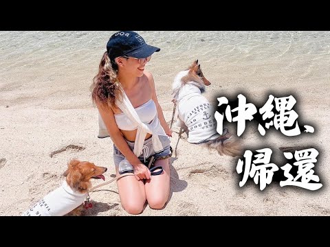 一週間犬連れて沖縄いってきたぞおおおおお